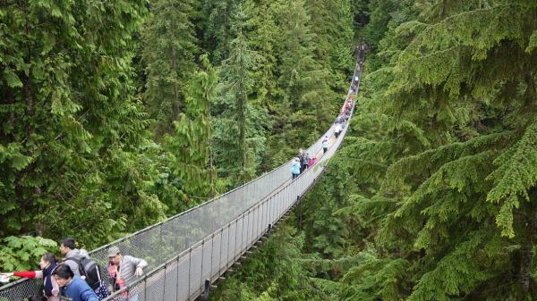 پل معلق کاپیلانو، یکی از معروف ترین جاذبه های گردشگری ونکوور