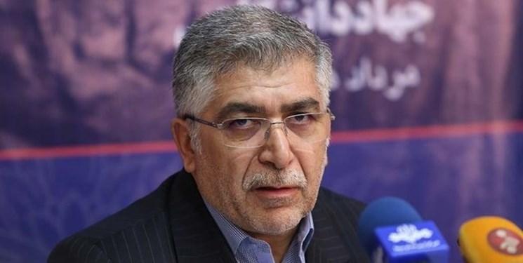 برخی نهادها هنوز چشم به راه محصولات خارجی هستند برخی نهادها هنوز چشم به راه محصولات خارجی هستند