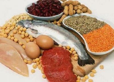 بین مصرف پروتئین و مرگ های سرطانی ارتباط وجود دارد