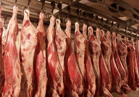 دادرس: اگر بگذارند خودکفایی در فراوری گوشت ممکن است