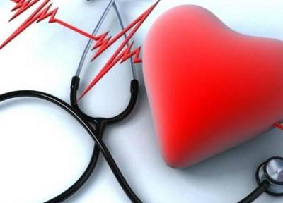 مدل جدید برای پیشگیری و درمان بیماری های قلبی عروقی توسط نخبگان ارائه شد