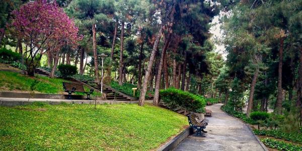 روزنامه شهرداری: پارک ها را زنانه مردانه نکرده ایم؛ برای زنان امکانات خاص گذاشتیم!