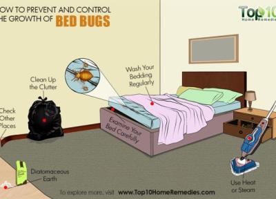 چگونه از هجوم حشرات به رختخواب جلوگیری کنیم؟