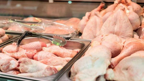 رسیدگی به 545 پرونده تخلفات مرتبط با فراوری و فروش گوشت مرغ